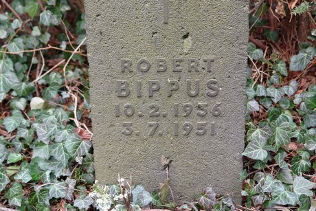 friedhof-alte-strasse