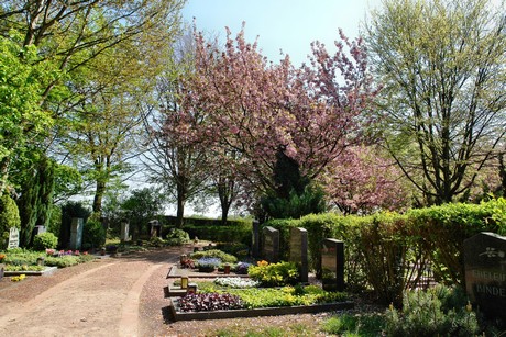 friedhof