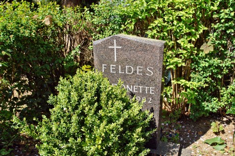 friedhof