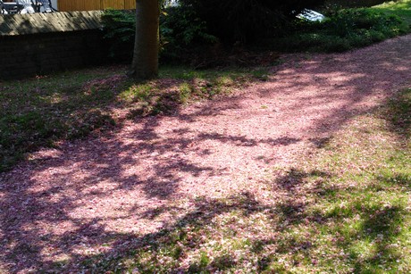 hermuelheim-alter-friedhof