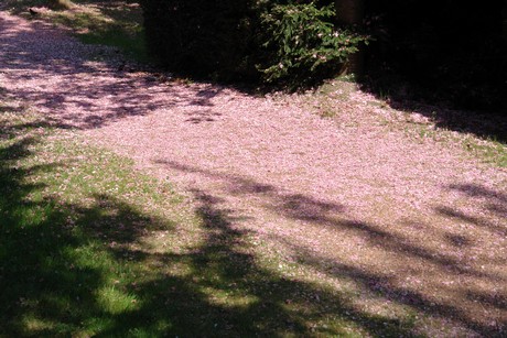 hermuelheim-alter-friedhof