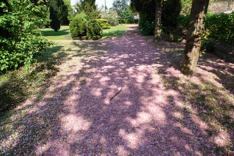 hermuelheim-alter-friedhof