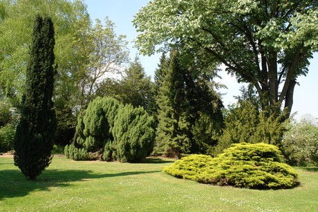 hermuelheim-alter-friedhof