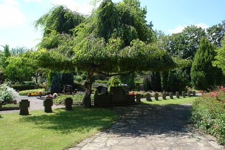 kendenich-friedhof