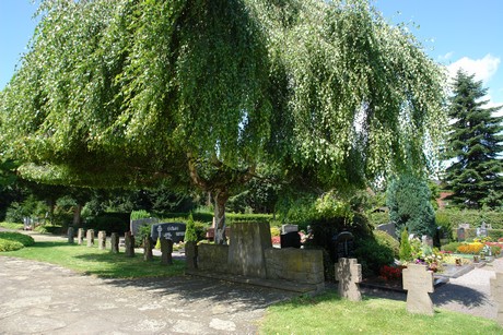 kendenich-friedhof