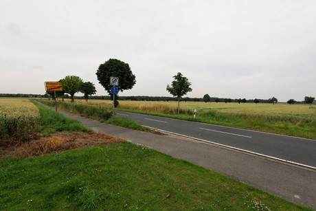 manheim
