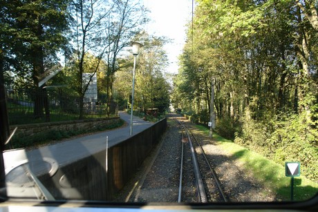 drachenfels