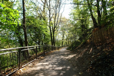 drachenfels