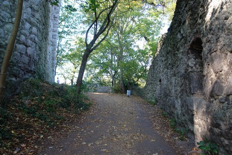 drachenfels