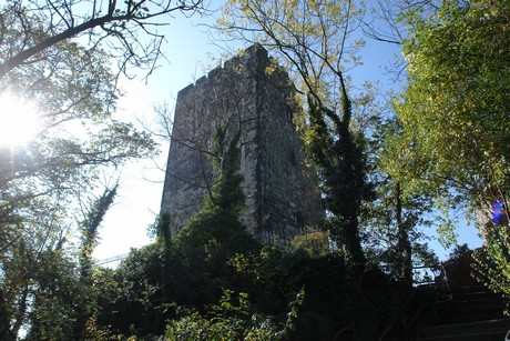 drachenfels