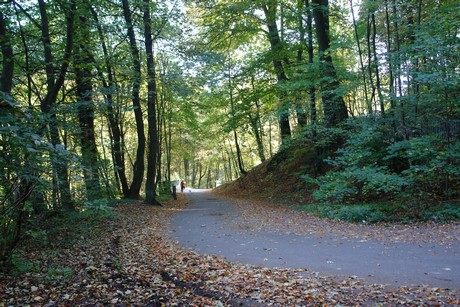 drachenfels