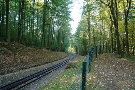 drachenfels