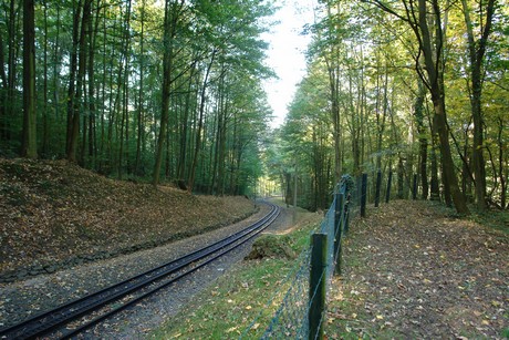 drachenfels