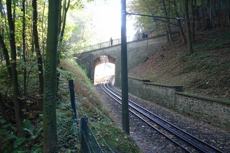 drachenfels