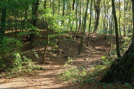 drachenfels