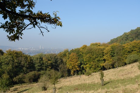 drachenfels