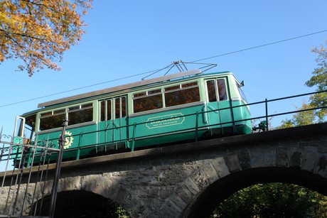 drachenfels