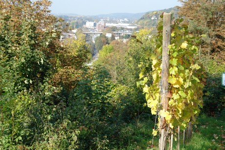 drachenfels