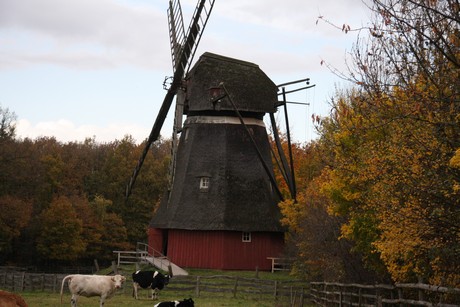 freilichtmuseum