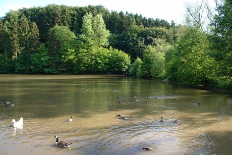 bergisch-neukirchen