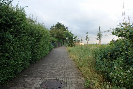 zuendorf