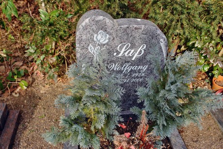 friedhof