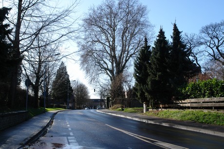 sinthern