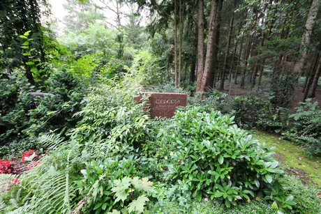 zentralfriedhof