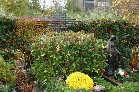 keldenich-friedhof