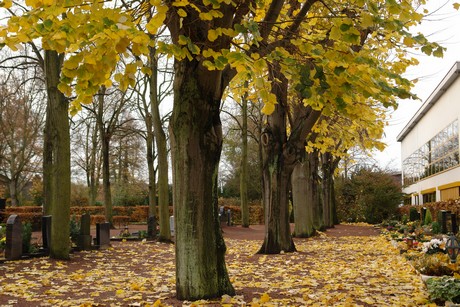 keldenich-friedhof