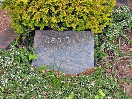 friedhof